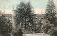Walton Convalescent Home c1900s-10s Vintage Postcard picture