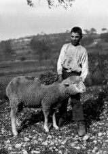 Young Shepherd With Aries Barisciano Abruzzo 1910-20 OLD PHOTO picture