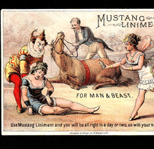 1800's Circus Clown Horse Act Injury Mustang Liniment Bottle Trade Card j.US picture