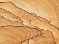 PICTURE Stone or SANDSTONE Slice/Slab with Display Stand Utah 236gr picture