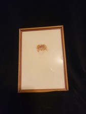 Vintage Dog Portrait Cavalier King Charles Spaniel H.P. Titled Signed Dated... picture