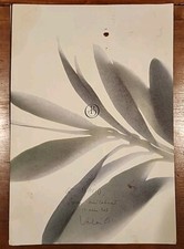 Oustau de Baumaniere Menu 2003 Le Baux de Provence France 2 Michelin Star SIGNED picture