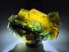 Golden Yellow Fluorite Crystals with bluish-green core - Okorusu Mine, Namibia picture