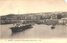 Algiers Algeria Port Panorama Transatlantic Ship Divided Back Postcard c1910 picture