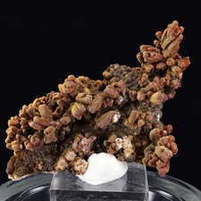 Descloizite ps Vanadinite | Robinson District, White Pine Co, Nevada - NEW FIND picture