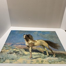 Vtg Robert Amick Freedom Stallion Horse Litho Print Western Landscape  20x16 in  picture