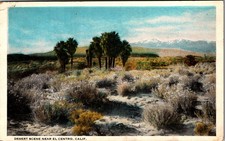 1923 Desert Scene near El Centro California Postcard picture