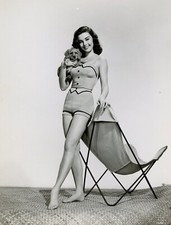 BEAUTIFUL ELAINE STEWART 8X10 Photo picture