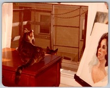 Vtg Color Snapshot Cats Looking Out Window Artist Studio Portrait Painting 1970s picture