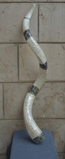 X Large Handcrafted Natural Ram's Horn Shofar with Mother of Pearl Inlay Judaica picture