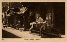 Cairo Egypt Native Street Donkey vintage postcard z891 picture