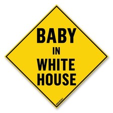 Baby in White House Magnet picture