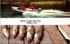 Cornell WI Wisconsin Brunett Island State Park Fishing Postcard  picture