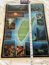 Vintage 1979 Cozumel Poster By:Seahawk Press 47 Years Old (25x19 in) VERY Rare picture