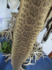 rattlesnake skin prairie rattle snake hide DRY TANNED wrap pen blanks 30 in. T8 picture