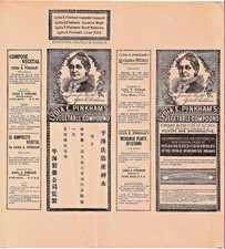 RARE 1920s Lydia Pinkham Multi-Language Uncut Printer Proof Prospectus 13x13 picture