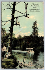 Findlay, OH, Riverside Park, Men Swimming, In A Tree, c1913, Vintage Postcard picture
