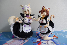 Anime Nekopara Azuki/Coconut  Maid 1/4 Figure Collect Toy Model Gift W/Box Gift picture