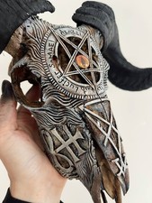 Real ram skull with horns and hand carving Satan pentagram picture