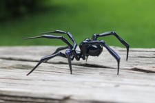 Art Glass Spider Figurine, Blown Glass Spider, Spider halloween, Handblown glass picture