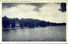 Holmes New York Whaley Lake A Beautiful Spot Early 1900s Postcard picture