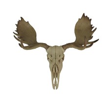Large Lifelike Bull Moose Skull Hanging Wildlife Decor Statue picture