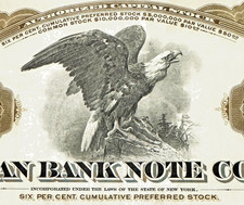 Antique 🦅 American Bank Note Co Eagle Stock Certificate, Brown Preferred picture