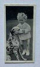 Carreras Dogs & Friend No. 39 Dalmatian Dog Tobacco Card CC43 picture