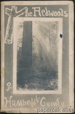 ca1915 The Redwoods of Humboldt County, Cal. By Freeman Art Co. Photo Album picture