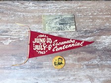 Rare Escanaba Michigan Centennial Pennant 100 Years Book & Pin picture