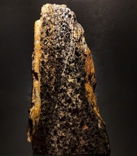 Silvermine MO Koch Shaft Cox Coll. Greisen Polished Slab Fluorescent Scheelite picture