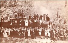 Postcard Wild Flower Train Colorado Springs  CO Colorado 1915 Reprint      K-258 picture