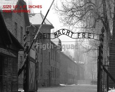 WW2 8x10 Photo Auschwitz German CC O4751 picture