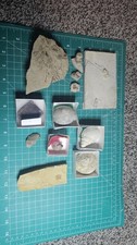 Lot Of Fossils Green River, Gastropods. Leafs And Dinosaur Bone. picture