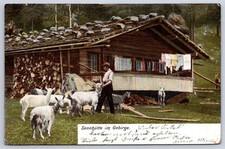 Antique Switzerland Postcard LANGENBUCH Alpine Senn Hut 1909 picture