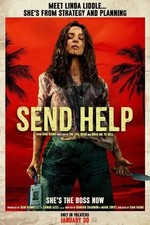 Send Help movie poster - 11x17 inches - Rachel McAdams, Sam Raimi picture