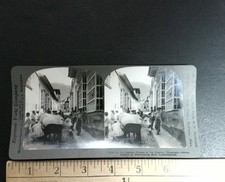 La Guayra Venezuela Milk Distribution Stereoview Keystone View Co. 1902 Curved picture