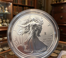 🔔 1776 - 2026 W SiIver Eagle Proof $1 250th Liberty Bell Privy First Strike picture