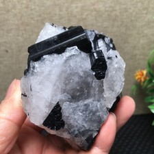 408g  Natural black Tourmaline Quartz Crystal Original   Specimen fb1503 picture