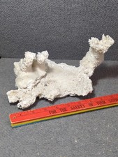 VTG Large Natural White Branching Coral Reef Decor Ocean Sea Aquarium 8x6x7
