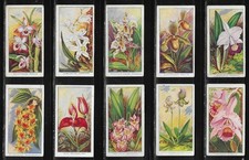 Carreras 1925 ORCHIDS set cigarette cards picture