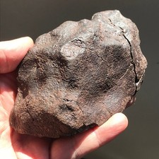 NWA Original Ordinary Chondrite Meteorite 541.4 Grams Fusion Crust Unclassified picture
