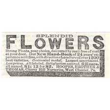 Splendid Flowers Hoopers, Brother & Thomas West Chester PA - Ad 1878 TJ7-L2-3 picture