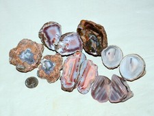11 PCS LOT Pair Banded Agates from Patagonia Argentina * collector piece * picture