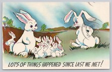 Vintage 1961 Comic Bunny Postcard Lithograph by Colourpicture picture