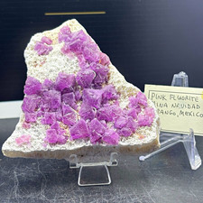 Pink Fluorite on Matrix Mineral Specimen Mina Navidad Durango Mexico UV 296g picture