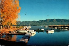 Vintage Postcard Big Bear Lake California Fall Autumn Colors Scenic Boats picture
