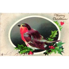 Antique 1913 Merry Christmas Postcard Robin Holly Canada Stamp Series 224 A picture