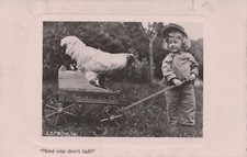 Antique RPPC Real Photo Postcard Child Rooster Chicken Bird Wagon Davidson Bros picture
