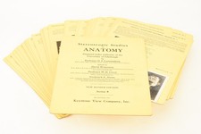 Stereoscopic Studies of Edinburgh Internal Face Section 9 No Case 39 Cards V21 picture